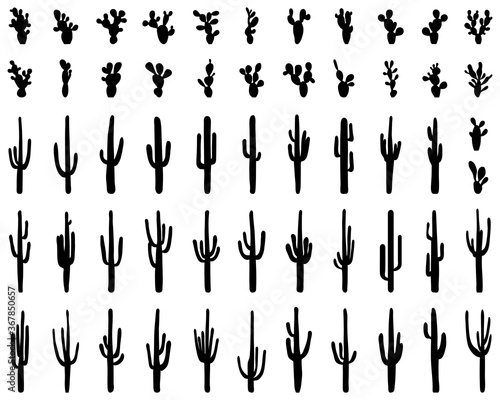 Black silhouettes of different cactus on a white background