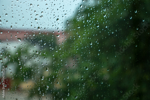 rain drops on window