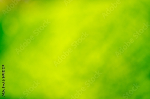 Żółte zielone jaskrawe delikatne nieregularne tło.