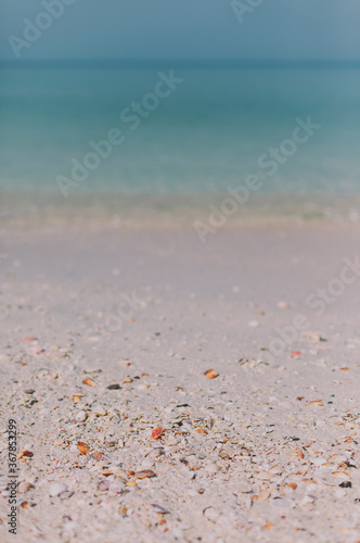 Fototapeta Naklejka Na Ścianę i Meble -  Multi-colored seashells on white sand against the background of the blue sea. 
