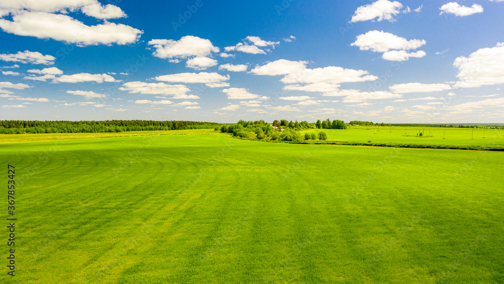 Fototapeta premium summer photo of the sown field against the background of the village
