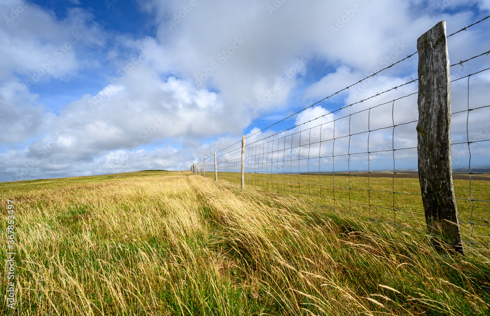 South Downs National Park, Sussex, UK near Firle Beacon. A fence and long grass in the sunshine on the route of the South Downs Way. The South Downs Way is a national trail popular with walkers. South Downs National Park, Sussex, UK near Firle Beacon. A fence and long grass in the sunshine on the route of the South Downs Way. The South Downs Way is a national trail popular with walkers.