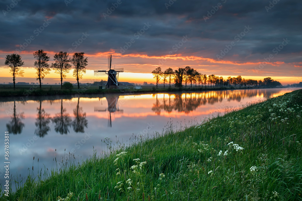 beautiful sunrise in Dutch farmland with windmill