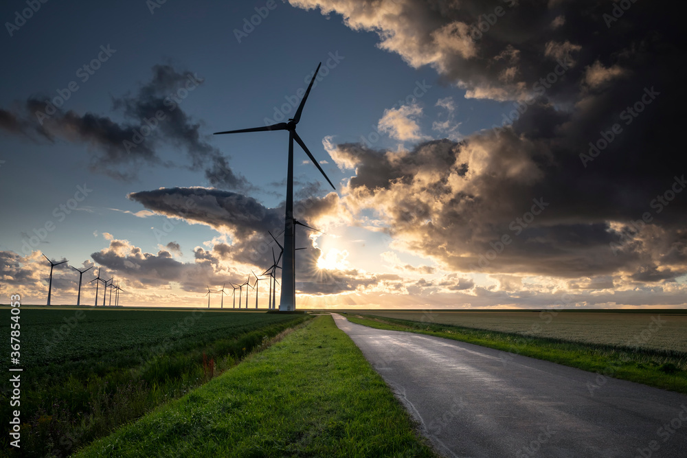 Obraz premium beautiful sunset light over windmills in Netherlands