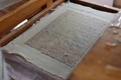 фотографія Paper from elephant dung on canvas