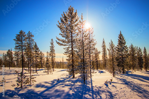 Winter in Finnish Lapland