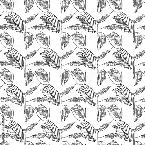 White and black nature vector seamless pattern background. Art continuous illustration. Hand drawn abstract art modern