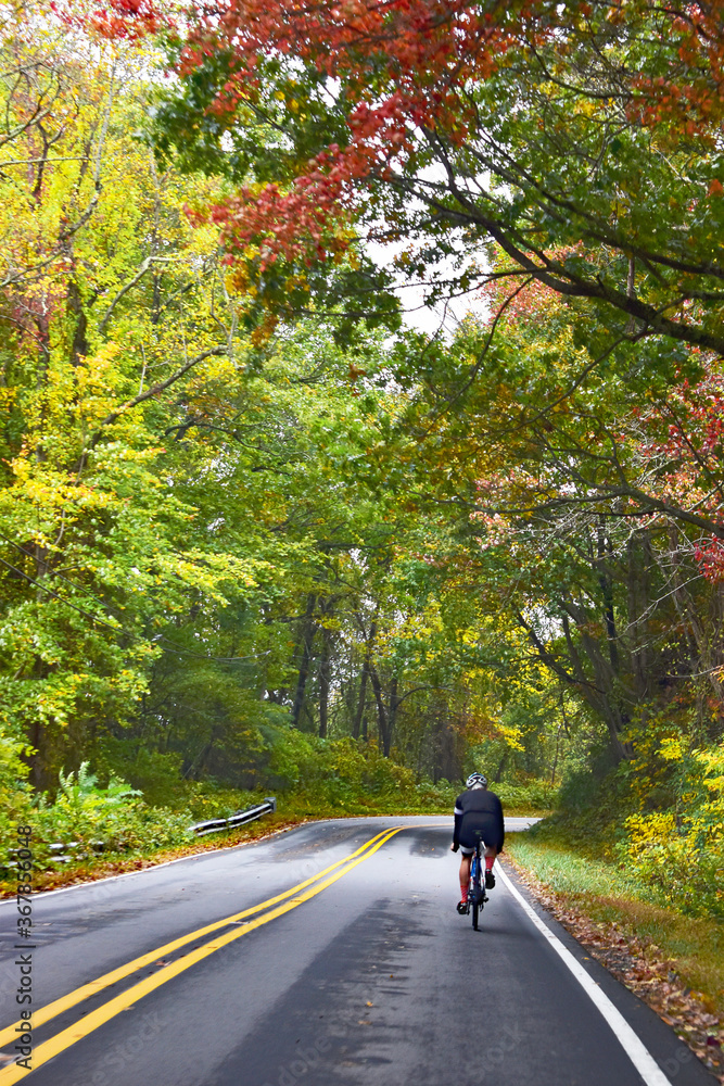 Man Biking on Road Through Autumn Trees