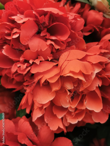 Fototapeta Naklejka Na Ścianę i Meble -  Beautiful luxurious roses. Large Artificial Flowers. Big Red Peonies. Made of textile.