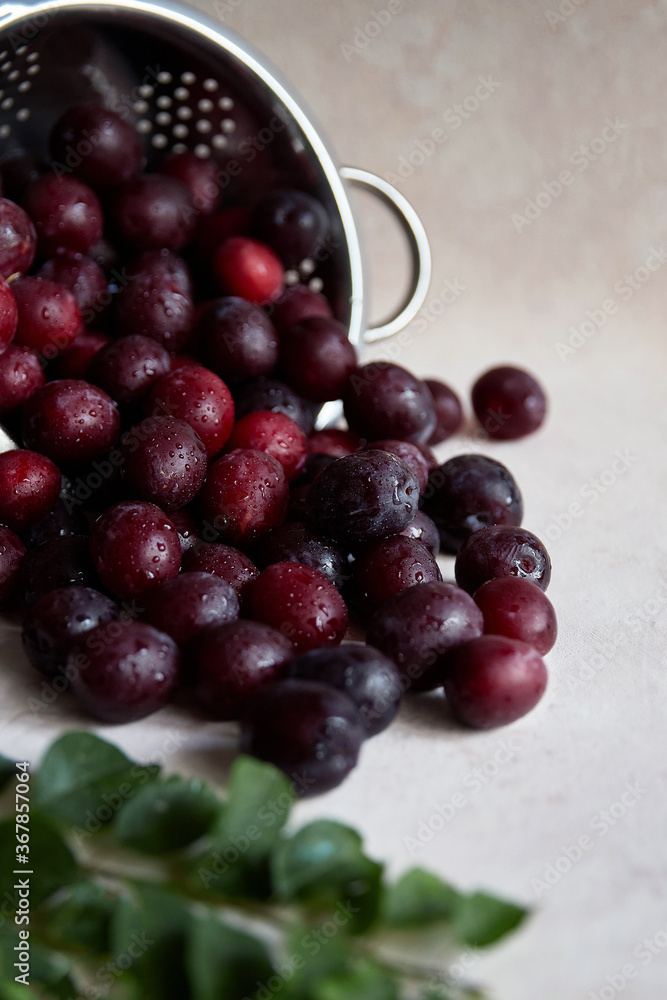 fresh juicy eco-friendly plums in colorant, on a light background fresh juicy eco-friendly plums in colorant, on a light background