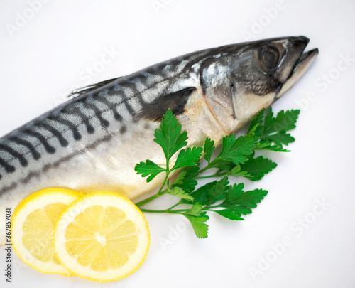Mackerel Fish on a white background