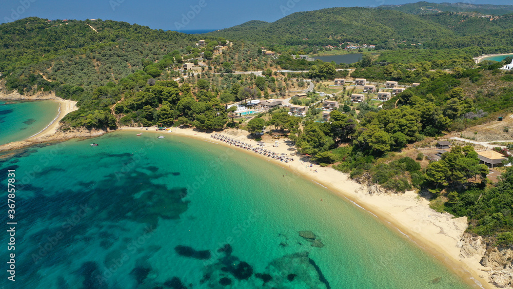 Aerial drone photo of paradise beaches of Banana and small Banana covered with pine trees in beautiful island of Skiathos, Sporades, Greece