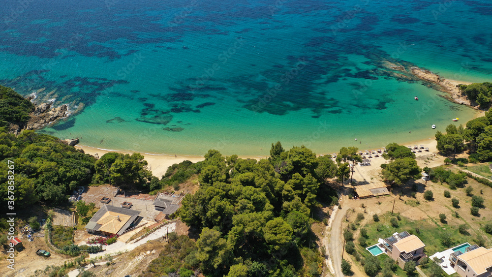 Aerial drone photo of paradise beaches of Banana and small Banana covered with pine trees in beautiful island of Skiathos, Sporades, Greece