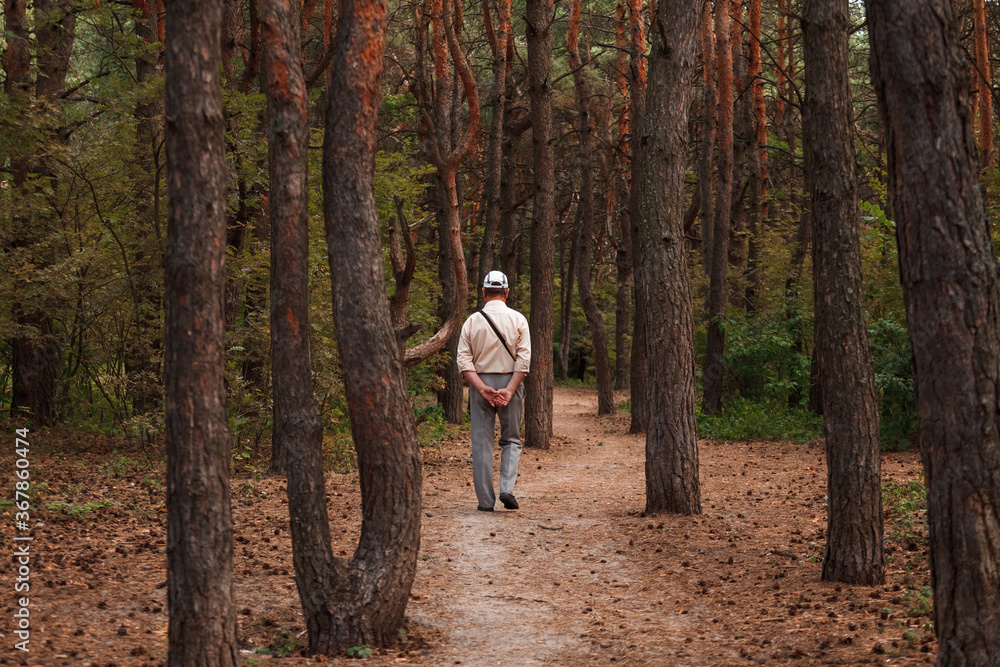  Old man walking in a pine forest