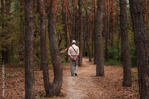  Old man walking in a pine forest © finix_observer