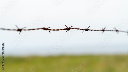 Concertina de protección de seguridad oxidada con cielo y campo verde de fondo