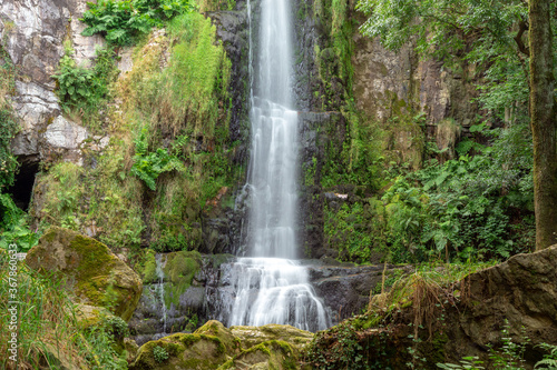 Cascada en medio del bosque.