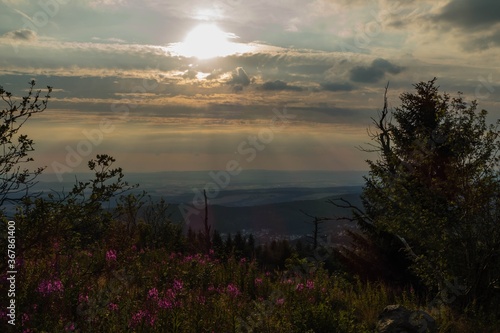 Abendsonne Feldberg Taunus  photo