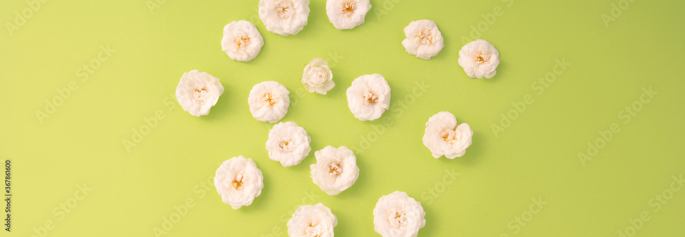Flowers composition. white small rose on green background. Mother's day, Valentine's day, birthday, spring, summer concept. Flat lay, top view