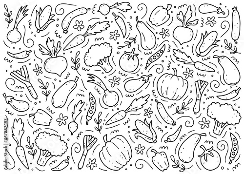 Hand drawn set of vegetable elements  carrot  salad  tomato  onion  lettuce  chili. Comic doodle sketch style. Vegetables element drawn by digital brush-pen. Vector illustration for icon  menu  frame