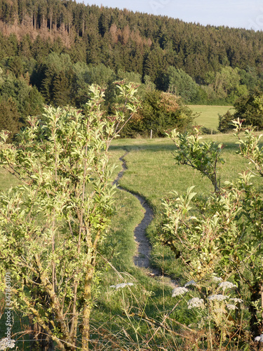 small village kempen feldrom veldrom in summer photo