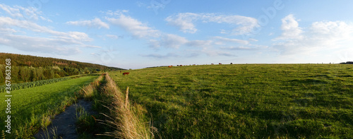 small village kempen feldrom veldrom in summer photo