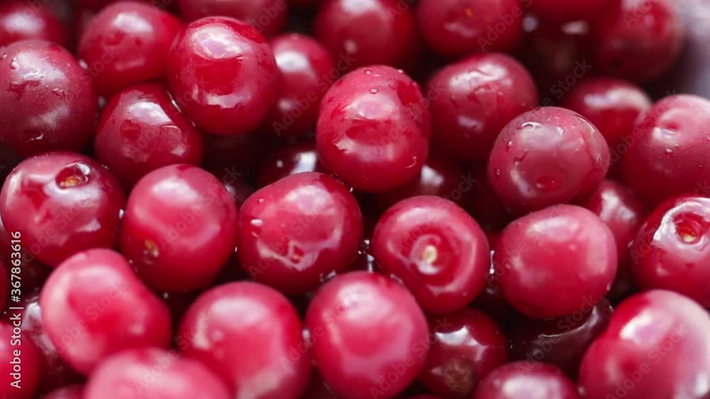 lots of ripe wet cherries lots of ripe wet cherries