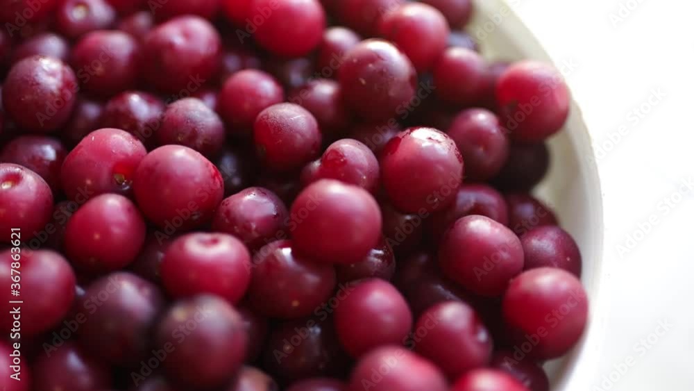 lots of ripe wet cherries lots of ripe wet cherries