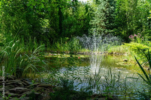 Fototapeta Naklejka Na Ścianę i Meble -  Beautiful garden pond with stone banks and cascading fountain. Evergreen landscaped garden. Evergreens and aquatic plants are reflected in water surface. Atmosphere of calm and measured life.