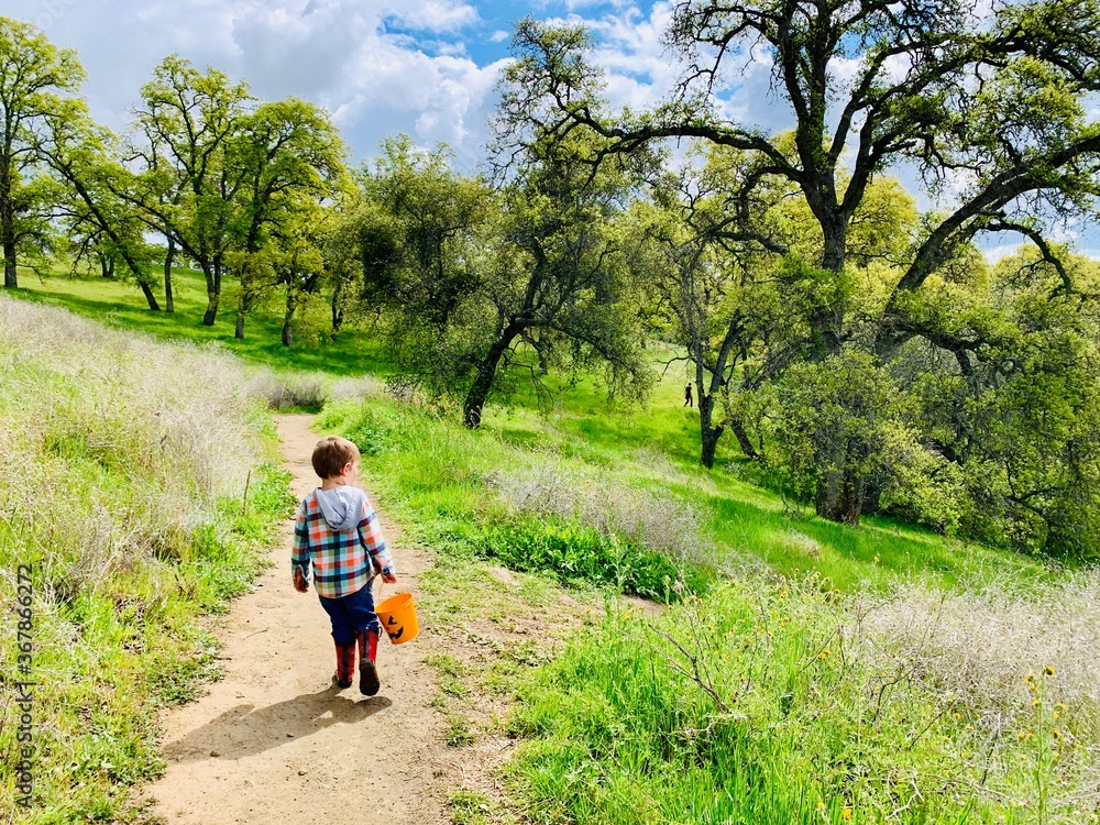 boy on path boy on path