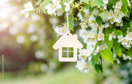 Symbol of the house on the branches of a flowering jasmine
 photo