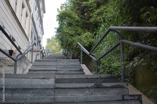 Urban granite stairs with a steel fence connecting two streets, with a little city jungle