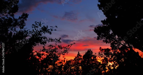 Dusk Sunset with Clouds and Trees