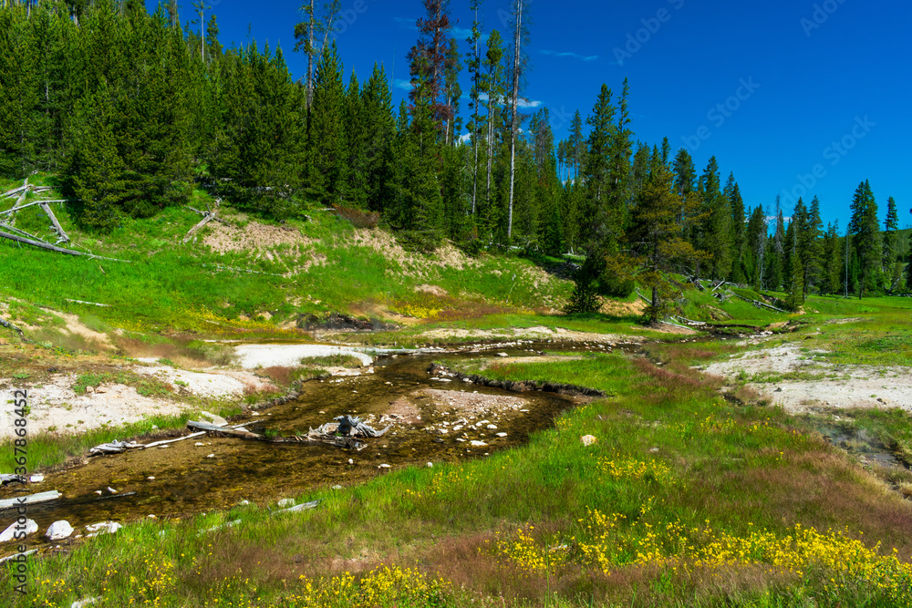 Obraz premium Clearwater Springs, Yellowstone