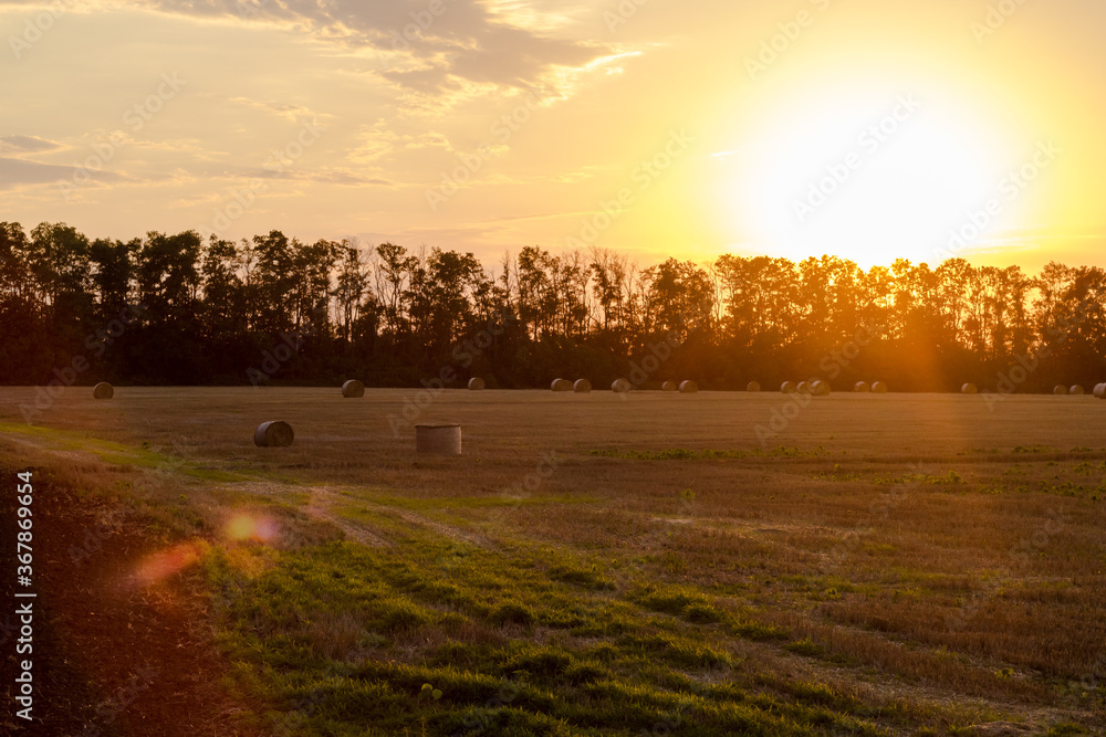 Fototapeta premium Cleaning fields in the Kuban. Haystacks on a harvested field during a July sunset and the sun shining brightly behind trees and clouds on the horizon.