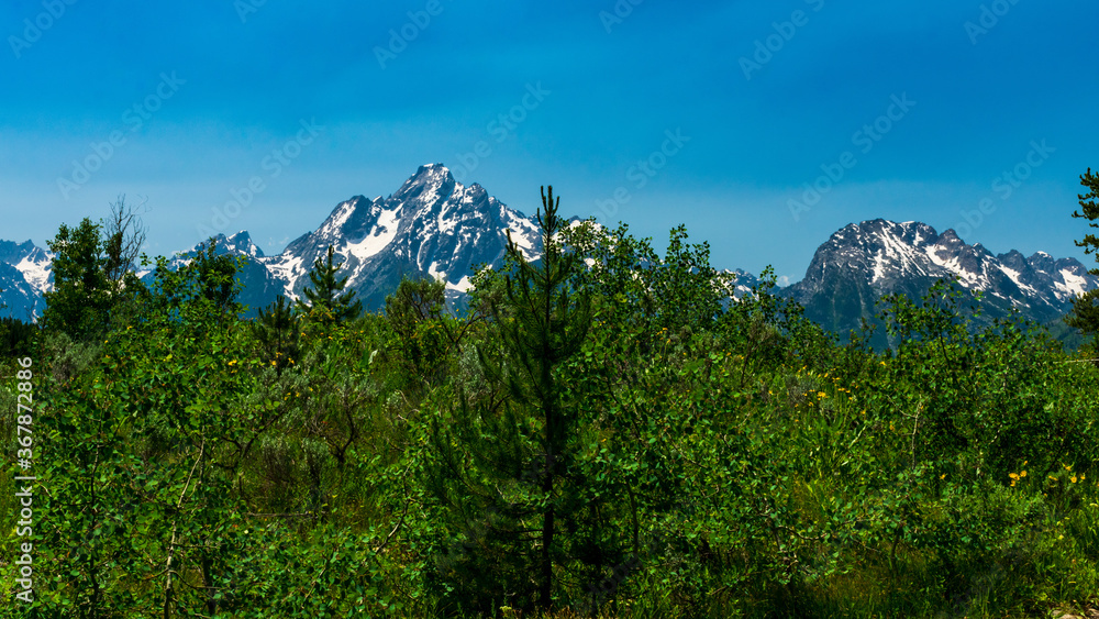 Fototapeta premium Grand Teton National Park, Wyoming