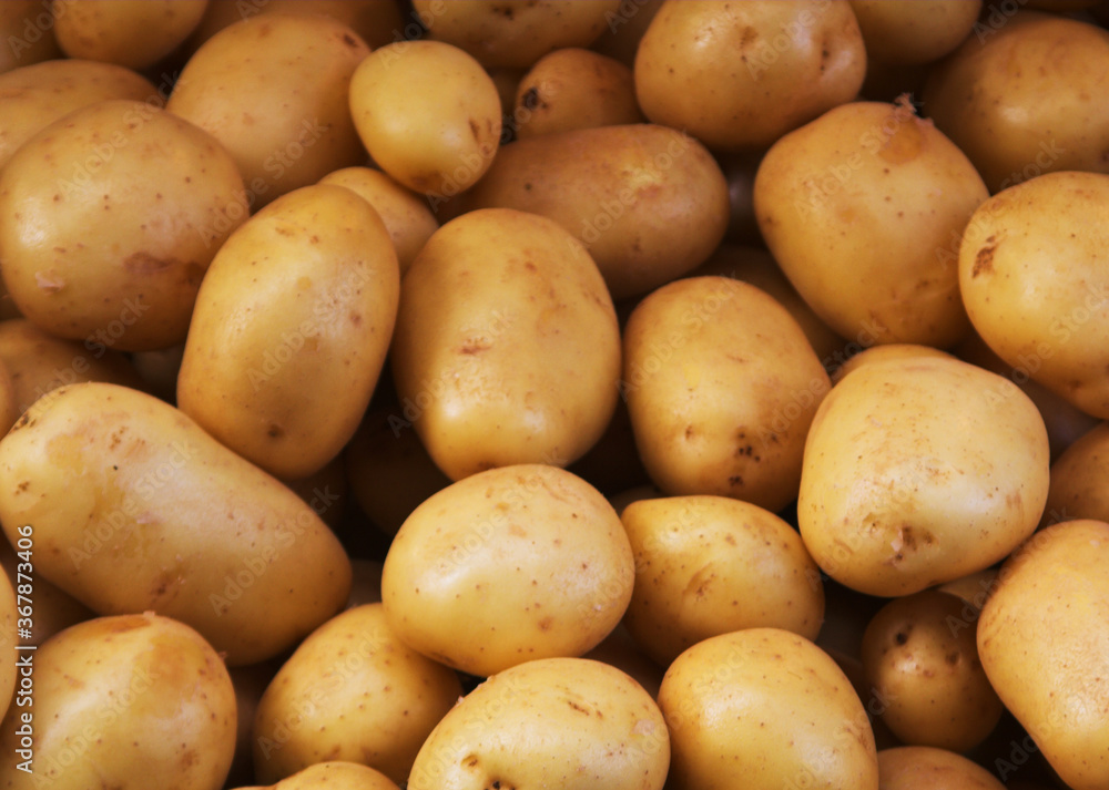 Big bunch of natural potatoes at market Big bunch of natural potatoes at market