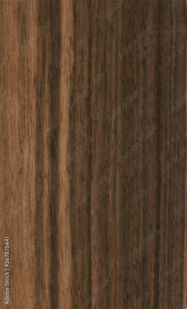 Fototapeta premium Ebony (Macassar) veneer, exotic natural wood from India and Africa.