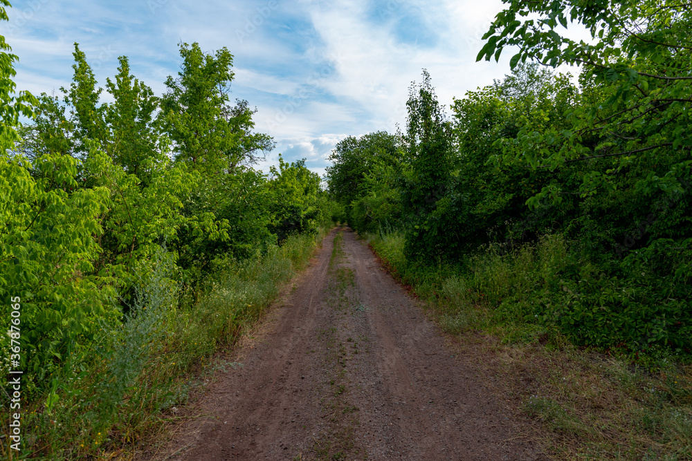 Ukraine, Krivoy Rog, the 16 of July 2020. Abandoned city park with beautiful clouds in the sky. Ukraine, Krivoy Rog, the 16 of July 2020. Abandoned city park with beautiful clouds in the sky.