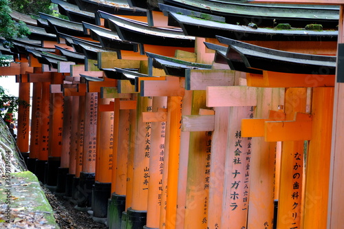 Kyoto Japan - Fushimi-Inari-Taisha Shinto Shrine Senbontorii