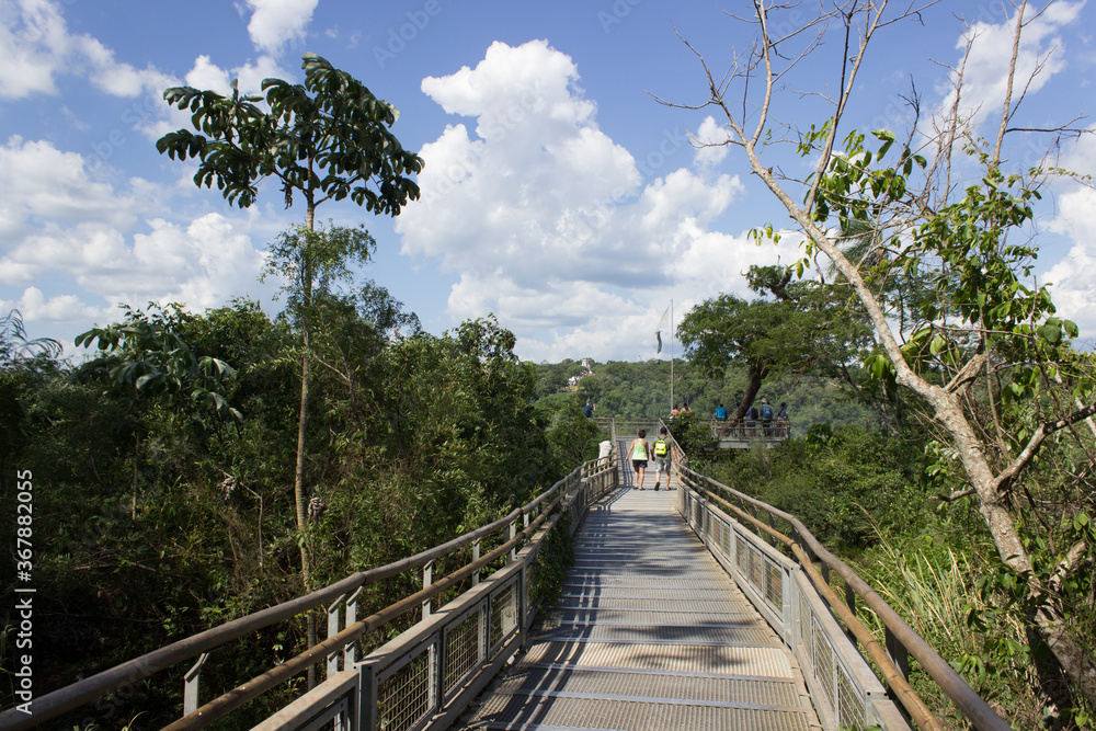 Fototapeta premium bridge over the river
