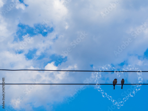 2 bird Perched on a light post blue sky and  Fluffy clouds for background.