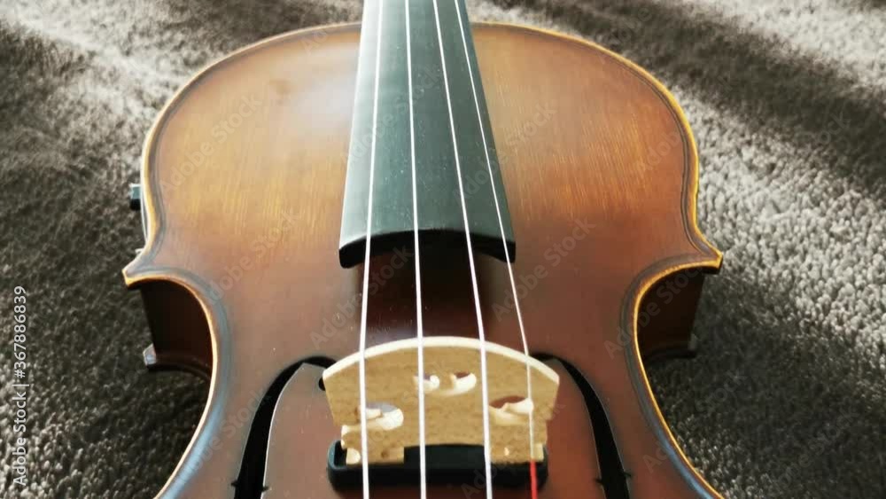 Violin close up from body to head. Violin close up from body to head.