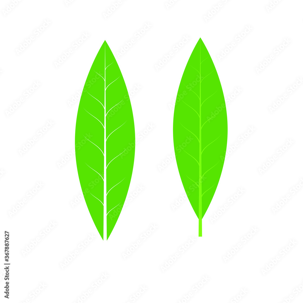 Abstract vector leaf icon. Green leaf icon set. Stock illustration Abstract vector leaf icon. Green leaf icon set. Stock illustration