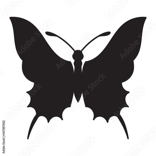 butterfly