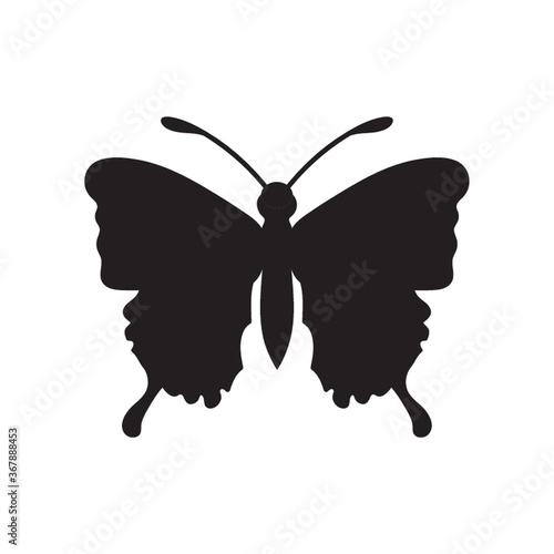butterfly