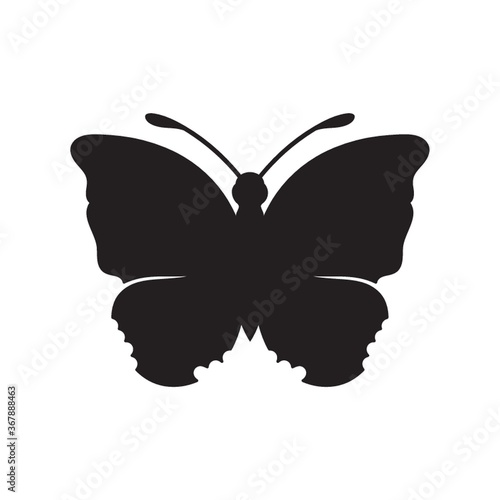 butterfly