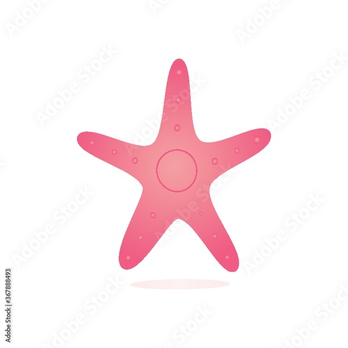 starfish