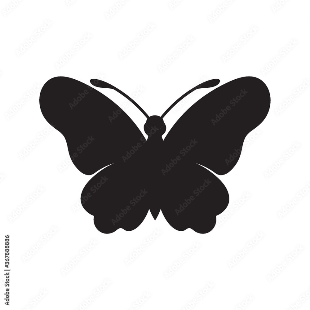 butterfly butterfly