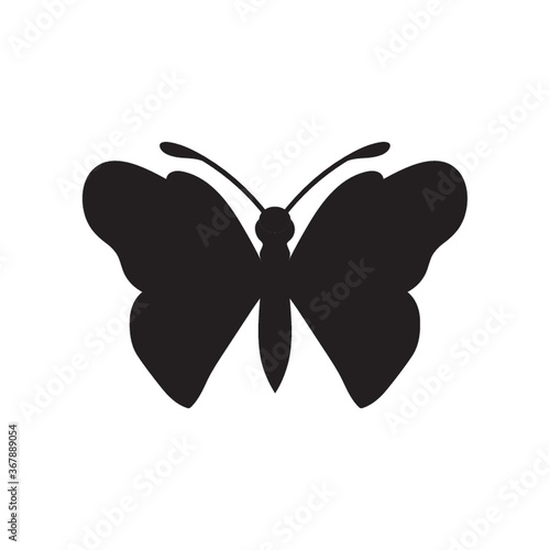butterfly